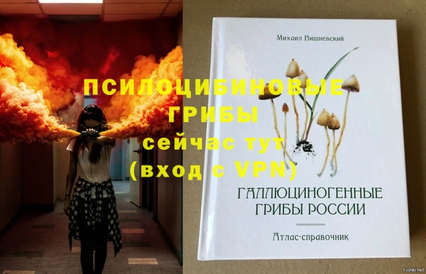 гашик Сатка