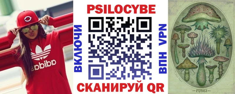 Псилоцибиновые грибы MAGIC MUSHROOMS  как найти закладки  Реутов 